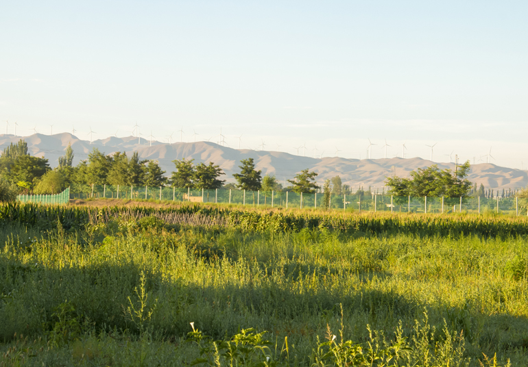 ���n���ص����B�l��